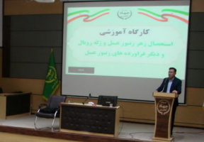 برگزاری کارگاه آموزشی و تخصصی "رمزگشایی از گنجینه زنبور عسل از زهر تا ژل رویال" در همدان