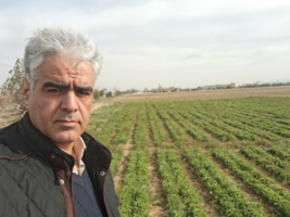 بازدید از مزارع تکثیر بذر غلات و پروژه‌های فعال در ایستگاه تحقیقاتی اکباتان