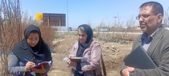 بازدید مشترک از مراکز عرضه نهال در سطح شهر همدان