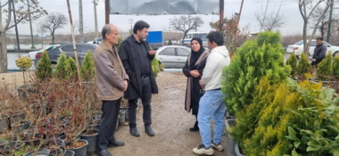 بازدید از مراکز عرضه نهال در استان همدان