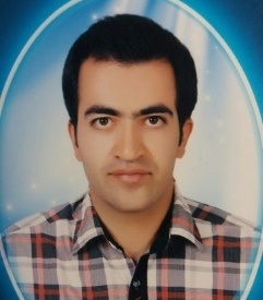 محسن بیگی