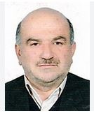 سید حسین صباغ پور