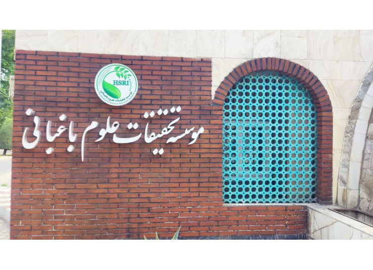 آلبوم