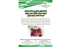 فن بازار