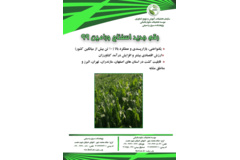 فن بازار