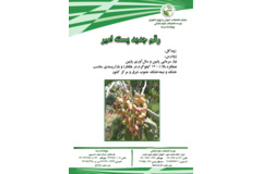 فن بازار