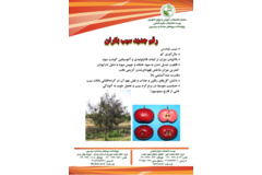 فن بازار