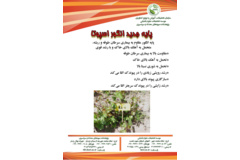 فن بازار