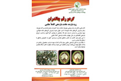 فن بازار
