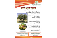 فن بازار