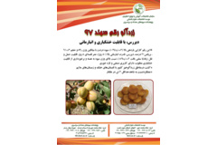 فن بازار