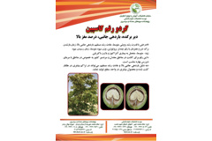 فن بازار