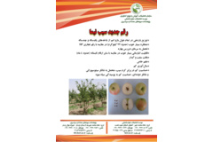 فن بازار