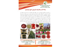 فن بازار