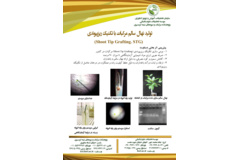 فن بازار