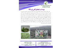 فن بازار