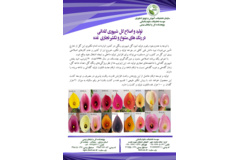 فن بازار