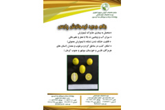 فن بازار