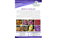 فن بازار