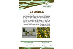 فن بازار
