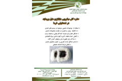 فن بازار