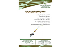 فن بازار