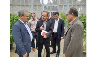 بازدید معاون وزیر و رئیس سازمان تحقیقات، آموزش و ترویج کشاورزی  از پژوهشکده مرکبات و میوه‌های نیمه‌گرمسیری