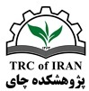 پژوهشکده چای