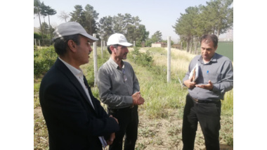 بازدید رئیس موسسه تحقیقات علوم باغبانی از برنامه‌های پژوهشی حوزه باغبانی استان کردستان