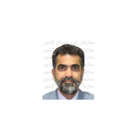آقای مهندس حسن رحیمی‌تنها