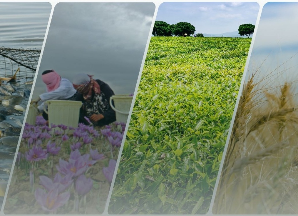 اسلایدر بالای صفحه