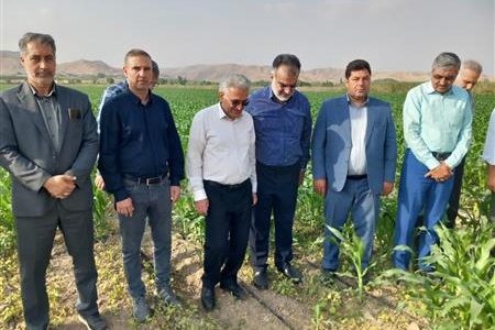 بازدید معاون سازمان تات از مزارع الگویی چغندر قند وذرت در شهرستان مانه
