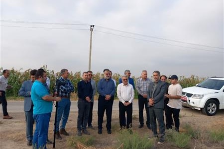 بازدید معاون سازمان تات از مزارع الگویی چغندر قند وذرت در شهرستان مانه