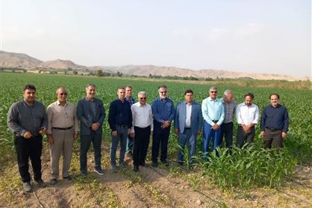 بازدید معاون سازمان تات از مزارع الگویی چغندر قند وذرت در شهرستان مانه