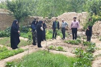 گزارش تصویری از بازدید از فعالیت زنان روستایی شهرستان گرمسار
