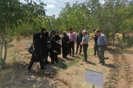 گزارش تصویری از بازدید از فعالیت زنان روستایی شهرستان گرمسار