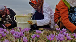زنان عشایری و روستایی
