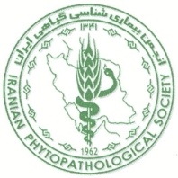 خسارت بیمه معلم