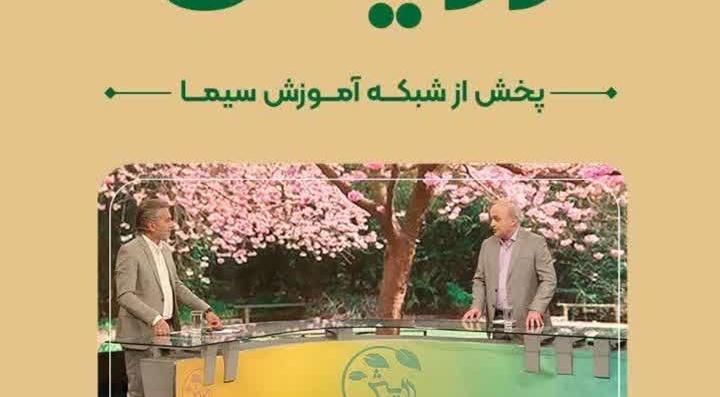 تولید پیاز