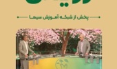 تولید پیاز