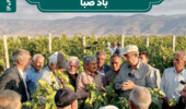 ماهنامه خبری آموزش و ترویج بادصبا " شهریور 1404 "