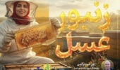استارت بهاره زنبورعسل از دمای ۱۵ درجه آغاز شود/ تغذیه تحریکی و مدیریت بیماریها کلید موفقیت زنبورداری در بهار