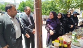 بازدید مدیرکل دفتر توسعه فعالیتهای کشاورزی زنان روستایی از طرحهای نوآورانه در ایلام