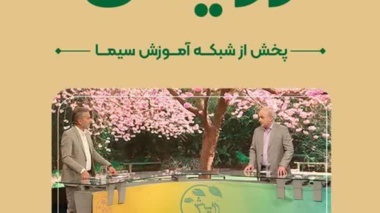 تولید پیاز