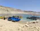 آغاز ذخیره‌سازی بچه‌ماهی کپور در قفس‌های مستقر در دریاچه سد مارون چکیده