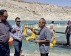 آغاز ذخیره‌سازی بچه‌ماهی کپور در قفس‌های مستقر در دریاچه سد مارون چکیده