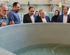 بازدید غلامرضا گل محمدی، معاون وزیر جهاد کشاورزی و رئیس سازمان تحقیقات، آموزش و ترویج کشاورزی از پژوهشکده