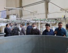 بازدید رؤسای پارک‌های علم‌وفناوری استان‌های ساحلی کشور از پژوهشکده آبزی‌پروری آب‌های جنوب کشور و تأکید بر معرفی دانش‌های فنی به‌دست‌آمده به بخش خصوصی با همکاری پارک علم‌وفناوری