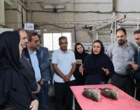 بازدید رؤسای پارک‌های علم‌وفناوری استان‌های ساحلی کشور از پژوهشکده آبزی‌پروری آب‌های جنوب کشور و تأکید بر معرفی دانش‌های فنی به‌دست‌آمده به بخش خصوصی با همکاری پارک علم‌وفناوری