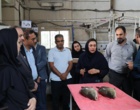 بازدید رؤسای پارک‌های علم‌وفناوری استان‌های ساحلی کشور از پژوهشکده آبزی‌پروری آب‌های جنوب کشور و تأکید بر معرفی دانش‌های فنی به‌دست‌آمده به بخش خصوصی با همکاری پارک علم‌وفناوری
